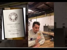 Video laden en afspelen in Gallery-weergave, Pinot Grigio Kreuzer di Dolomiti 2023